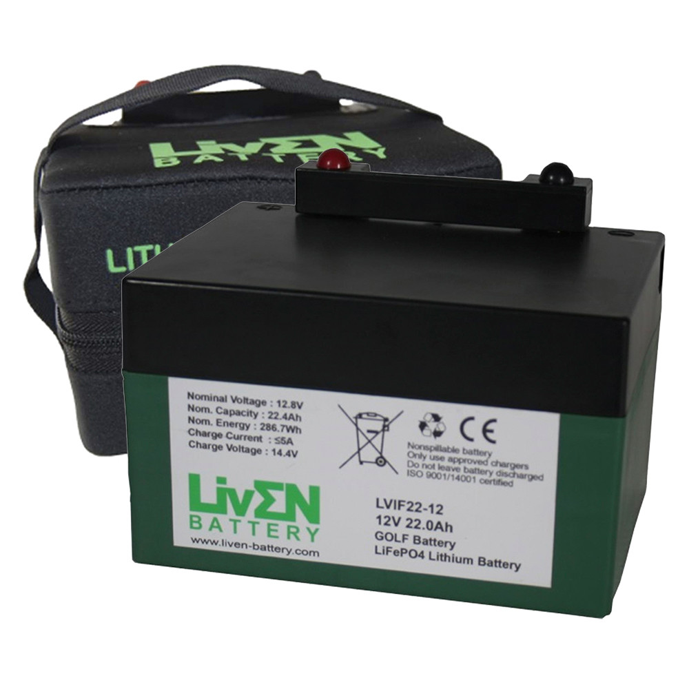 Cargador baterías Litio Carro de Golf LiFePO4 - Baterias para todo Reguero  Baterias