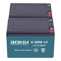 Pacote de 2 baterias para Libercar Smart 3 rodas de 12V 12Ah C2 ciclo profundo Aokly 6-DZM-12 (6-DZF-12) - 1