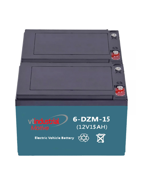 Pack 2 baterías para scooter y patinete eléctrico de 12V 15Ah C20 ciclo profundo (6-DZM-10/12/14, 6-DZF-10/12/14) - 2x6-DZM-15 -